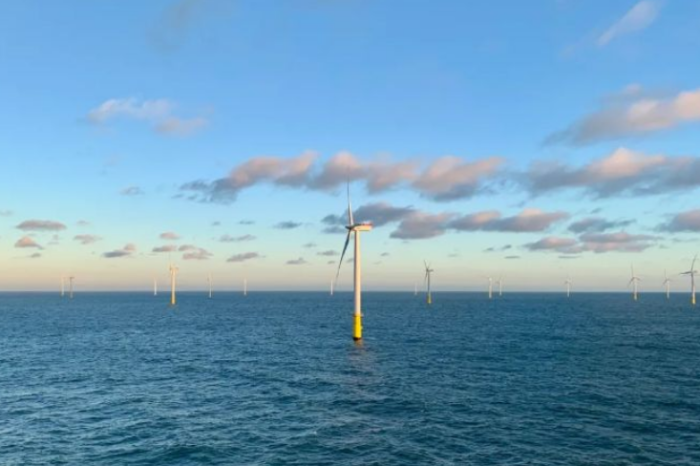 我與三峽國際共成長